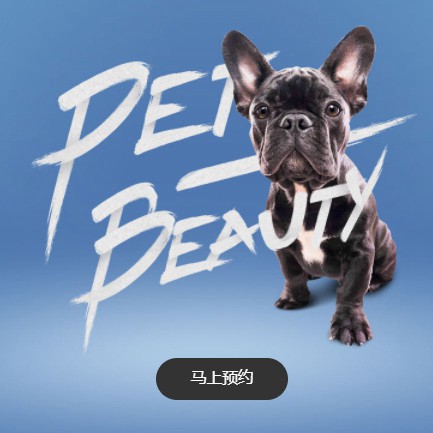 二道江宠物中心小程序开发